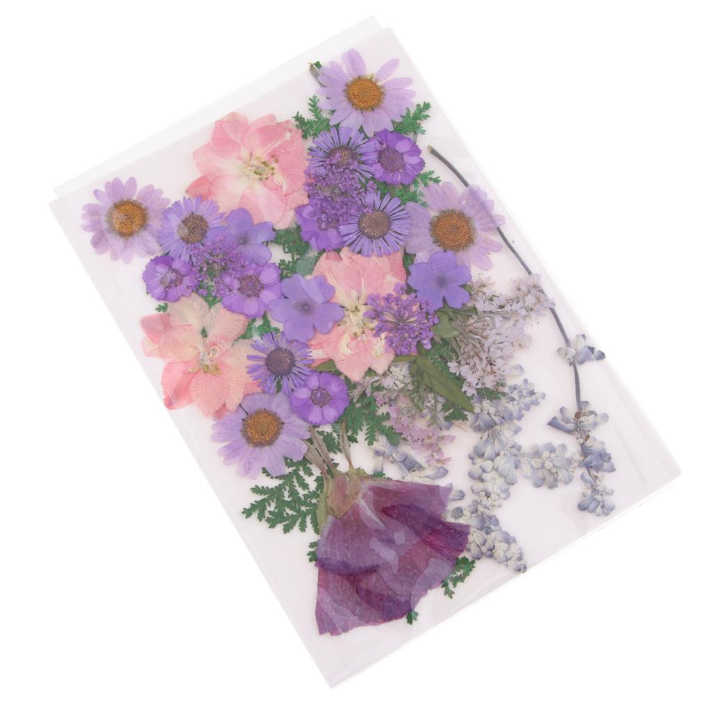 Dried Flower Pressed - Натуральные прессованные сухоцветы и смешанные листья: