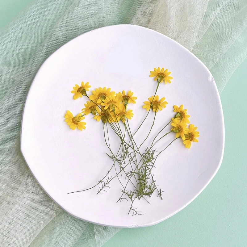 6-10 см/24 шт., Натуральные пр – обзор и цена Dried Flower Pressed